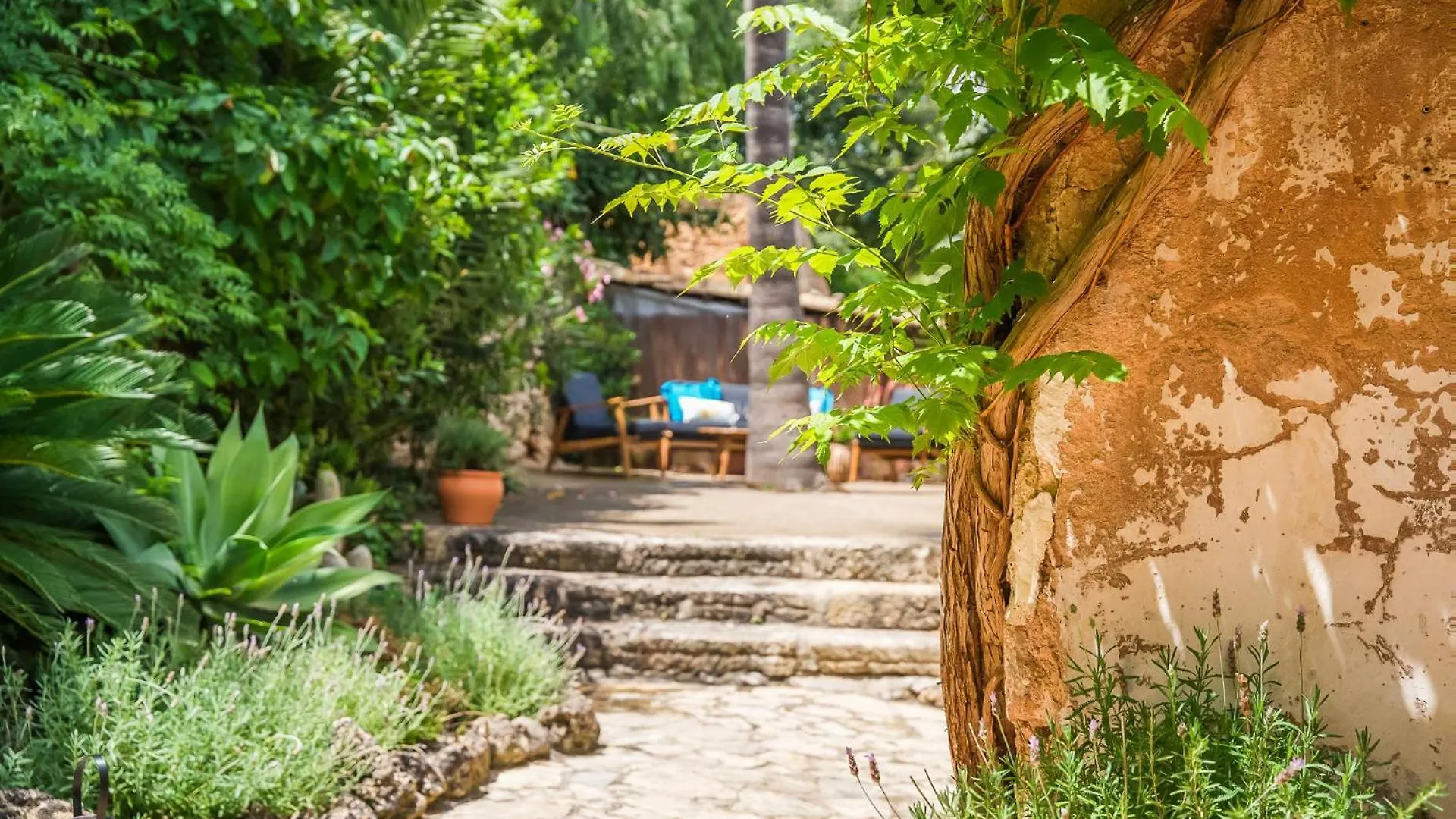 Ideal Property Mallorca - Son Paulo Búger